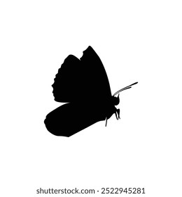 Detailed silhouette of a butterfly with spread wings, isolated on a clean white background.