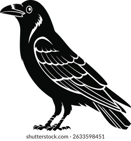 A detailed silhouette illustration of a raven, showcasing its distinctive features and elegant wings. 