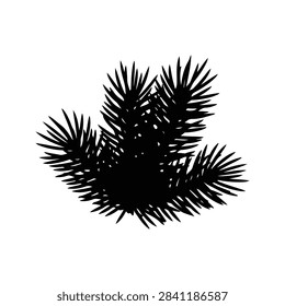 A detailed silhouette of pine tree branches showcasing needle textures and natural form against a plain background.
