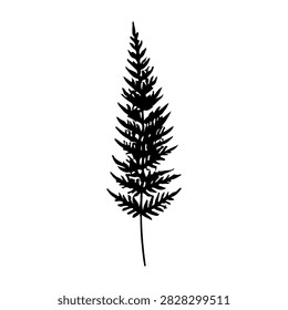 A detailed silhouette of a tall pine tree showcasing its needle-like leaves and conical shape, isolated on a white background.
