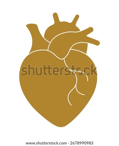 A detailed silhouette vector of an anatomical human heart. A classic icon for cardiology, medical science, human biology, and healthcare illustration.