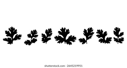 Detailed Silhouette Vector Illustration of Cilantro Leaves on a White Background for Culinary Design Projects