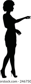 Detailed silhouette of a woman in short party dress and high heels.