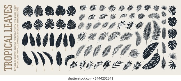 Detailed silhouettes tropical greenery exotic leaves, Realistic natural jungle plants branches, Botanical of green forest fern vector assets collection isolated graphic elements, EPS 10