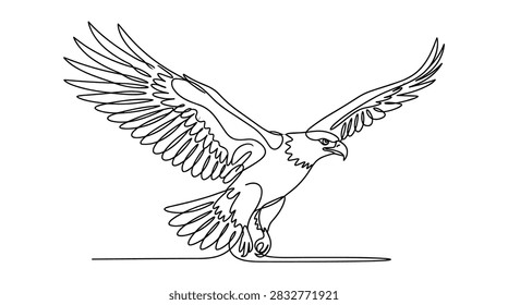Detailed single line drawing of eagle preparing to land. Elegant black stroke illustration on white background style.