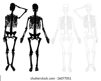 Detailed skeletons (black and white)