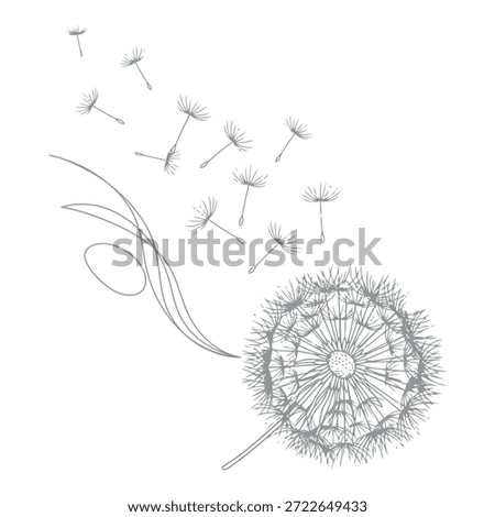 A detailed sketch of a dandelion seed head with seeds blowing away on the breeze.