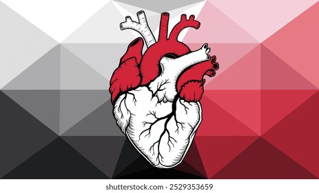 A detailed sketch of a human heart, its chambers, and valves, set against a geometric background.