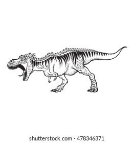 Detailed sketch style drawing of the roaring tyrannosaurus rex. Full-lenght figure. Threatening pose. Isolated on white background. EPS10 vector illustration.