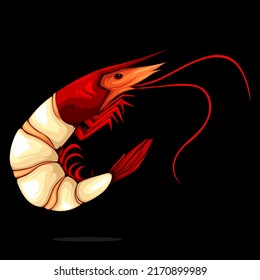 Detailed Skinless Prawns Isolate on White Background