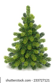 Detailed Small Christmas Tree