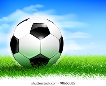 Detailed soccer ball on lush soccer field.