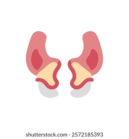 Detailed Sphenoid Bone Anatomy Vector Illustration