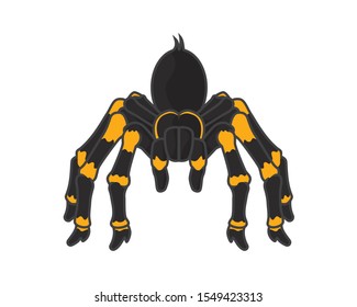 Detailed Spider with Standing Gesture Illustration