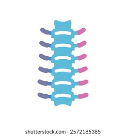 Detailed Spine Anatomy Vector Illustration Icon