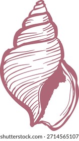 Uma concha de estilo espiral detalhada desenhada com hachura curva em tons rosa silencioso.