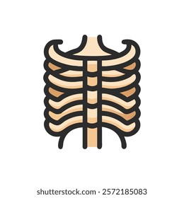 Detailed Sternum Anatomy Vector Design