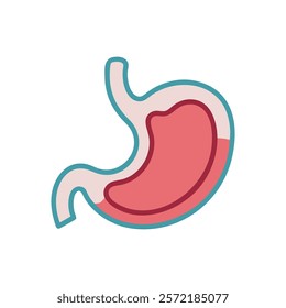 Detailed Stomach Anatomy Vector Icon