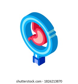 detailed study of stomach icon vector. isometric detailed study of stomach sign. color isolated symbol illustration