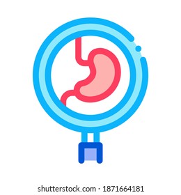 detailed study of stomach icon vector. detailed study of stomach sign. color symbol illustration