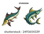 Detailed Sturgeon Fish vector illustration. Perfect for culinary, marine, and environmental designs. High-quality vector for easy customization. Ideal for menus, packaging, education, and web graphics