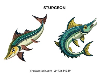 Detailed Sturgeon Fish vector illustration. Perfect for culinary, marine, and environmental designs. High-quality vector for easy customization. Ideal for menus, packaging, education, and web graphics