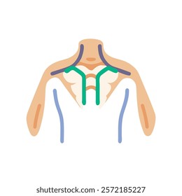 Detailed Subscapular Fossa Anatomy Vector Design