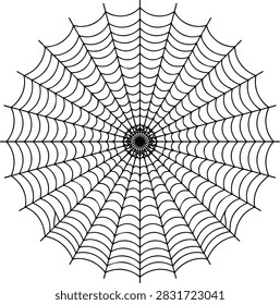 Detailed symmetrical cobweb design with thin circular lines. Minimalist vector clip art for gothic or horror themes.