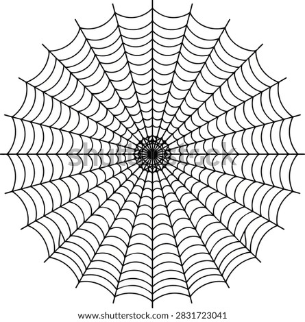 Detailed symmetrical cobweb design with thin circular lines. Minimalist vector clip art for gothic or horror themes.