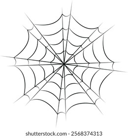 Detailed and symmetrical spider web with concentric circles connected by radial lines extending from the center to the outer edges.