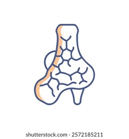 Detailed Talus Bone Anatomy Vector Icon