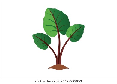 Ilustración detallada del Vector de la planta del taro, que captura la esencia de sus hojas exuberantes y forma única. Este diseño de Vector vibrante y preciso muestra maravillosamente la naturaleza de la planta de taro.