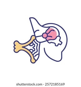 Detailed Temporal Bone Anatomy Vector Icon