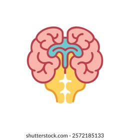 Detailed Thalamus Anatomy Vector Design