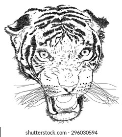 Detailed Tiger Face Vector Illustration - Handmade