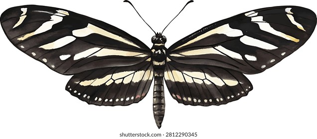 A detailed top-down view of a Zebra longwing butterfly with distinct striped wings.