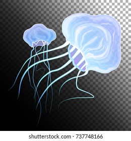 Detailed transparent and glowing jellyfish. Magic undersea world. Purple blue sea jelly on isolated background. Vector illustration. 
