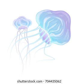 Detailed transparent jellyfish. Pink and blue sea jelly on white background. Vector illustration.