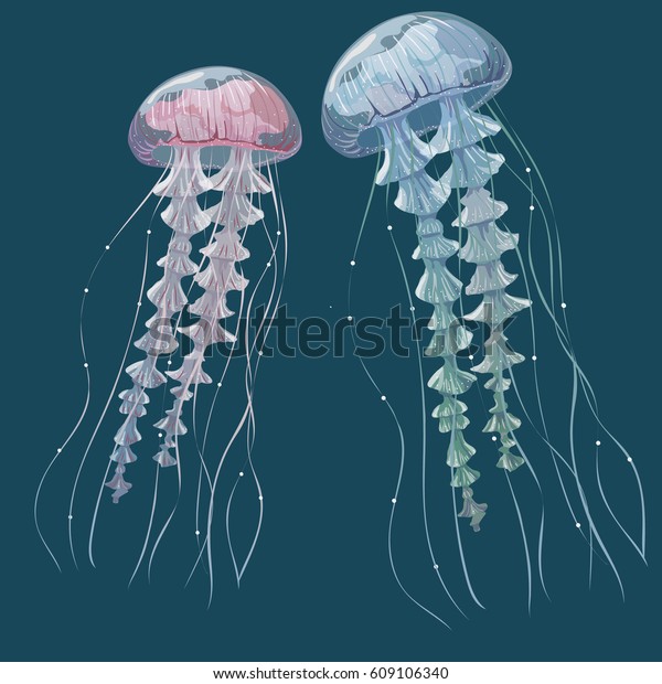 详细的透明水母 蓝色背景上的粉红色和蓝色海果冻 矢量插图库存矢量图 免版税