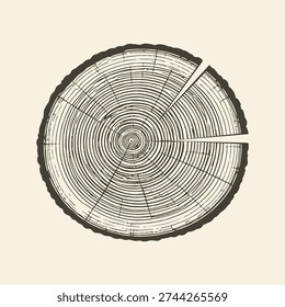 Detailed tree ring cross section illustration showing natural wood growth rings and organic radial cracks.