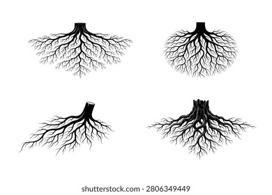Detailed Tree Root System Vector Collection Black Botanical Root Illustrations Nature Silhouettes Isolated on White Background