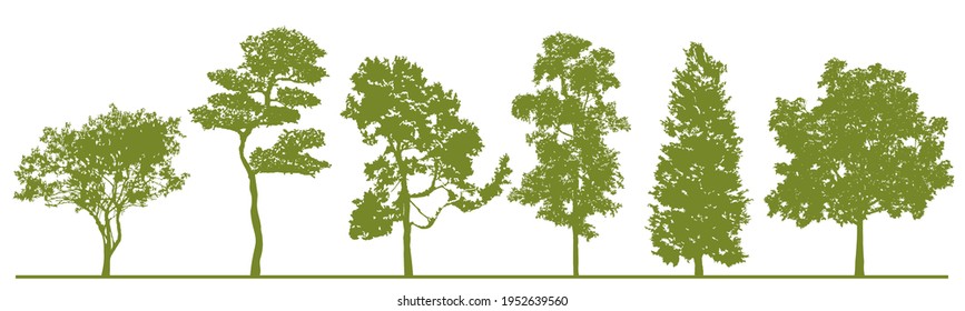 Detailed tree silhouettes. Set of green trees in silhouettes isolated on white background. Collection of different shapes forest trees. Elements are moveable for your design. Vector EPS10