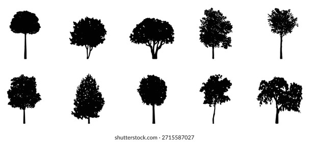 Siluetas detalladas del árbol de varios árboles en el fondo blanco, Ilustración vectorial