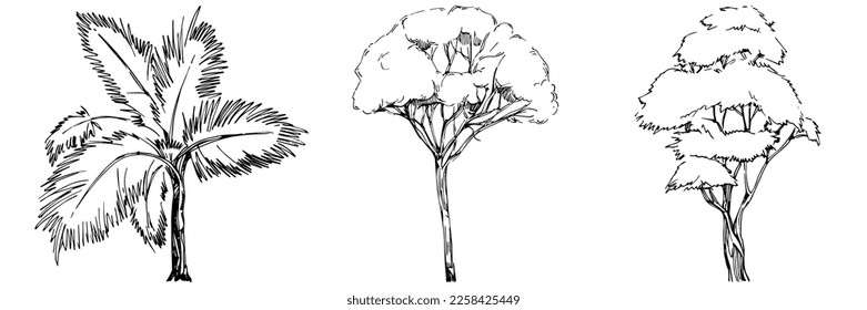 Detailed tree sketch hand draw silhouettes. Black and white nature illustration element.