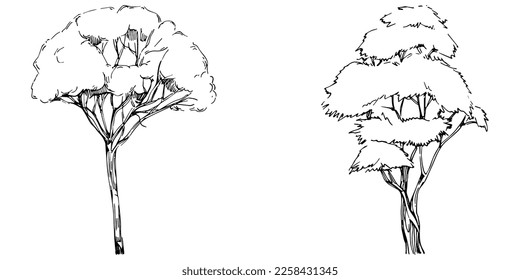 Detailed tree sketch hand draw silhouettes. Black and white nature illustration element.