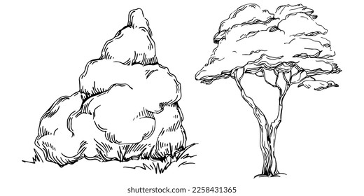 Detaillierte Baumskizze Hand ziehen Silhouetten. Schwarz-Weiß-Naturgrafik-Element.