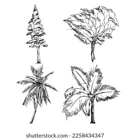 Detailed tree sketch hand draw silhouettes. Black and white nature illustration element.