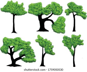 Detailed Tree Vectors Editing Stock Vector (Royalty Free) 1759050530 ...