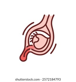 Detailed Trochlea Anatomy Vector Design