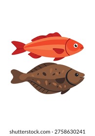 detailed tropical fish close up on white backdrop